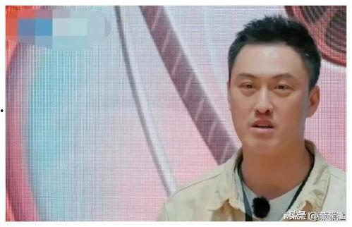 娱乐圈吃瓜爆料文章大全